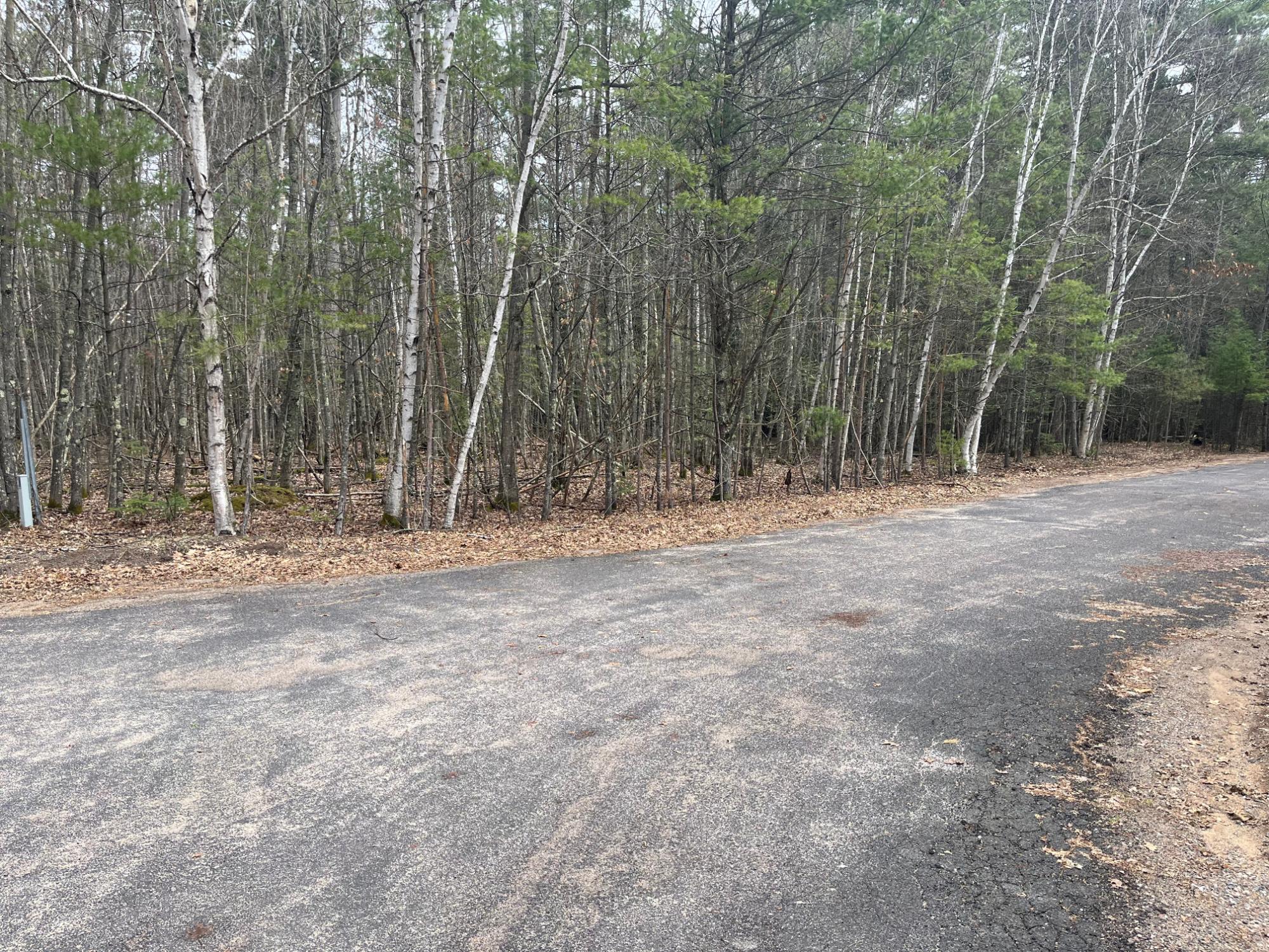 Lot 10 Pine Terrace Court Rhinelander, WI 54501 - Photo 2 of 3 Gallery Image 2