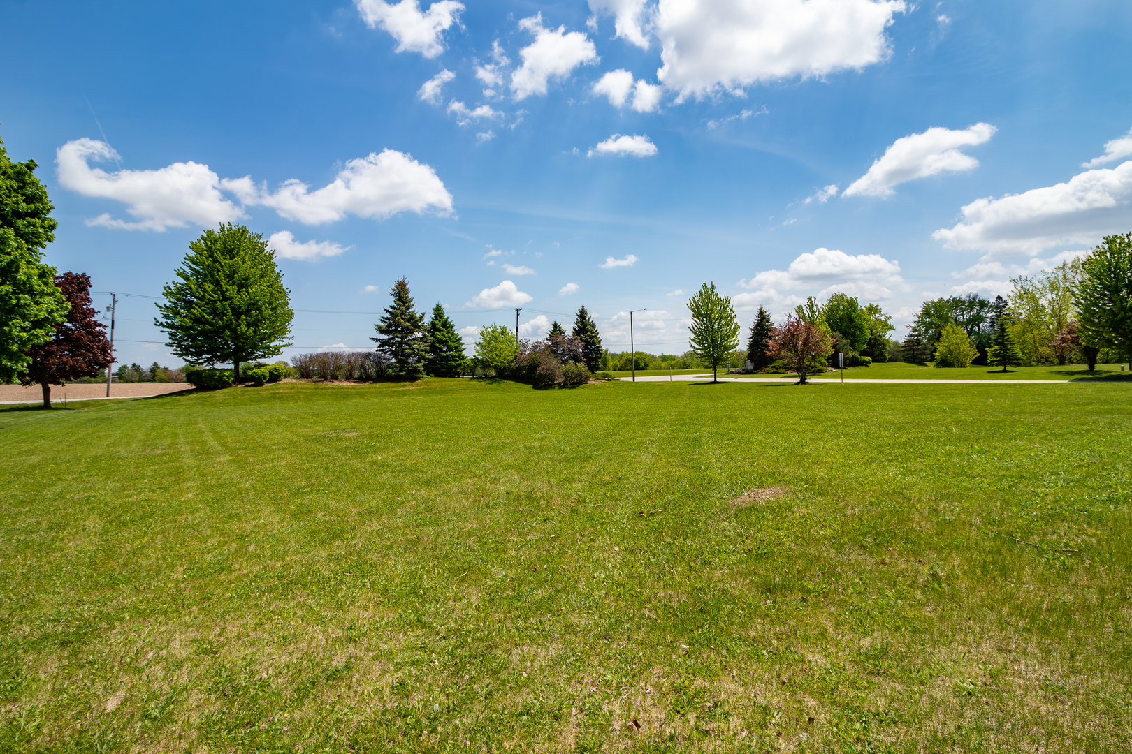 2600 Sanctuary Lane Spring Grove, IL 60081 - Photo 4 of 11 a view of a green field