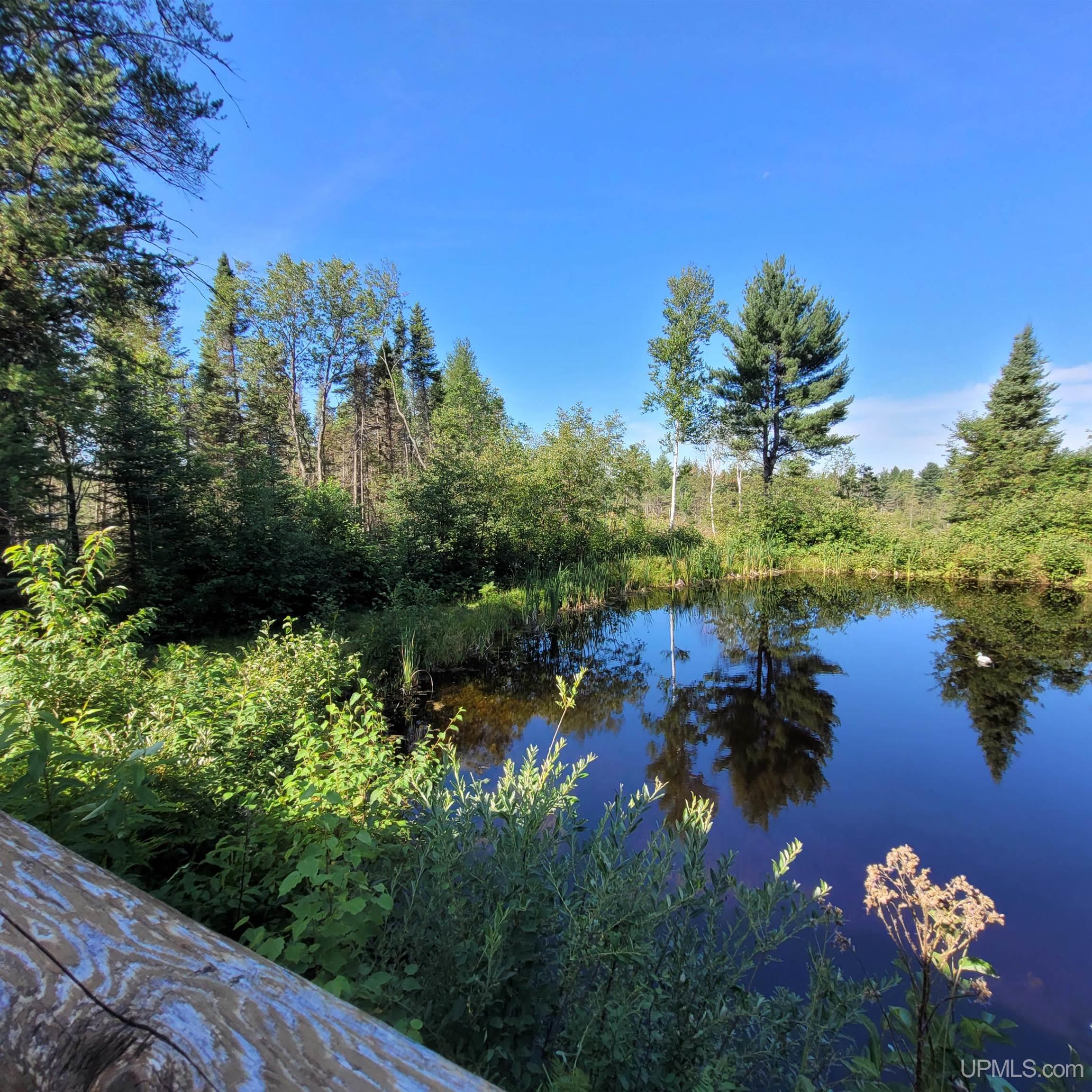 76 Acres Road Gwinn, MI 49841 - Photo 41 of 64