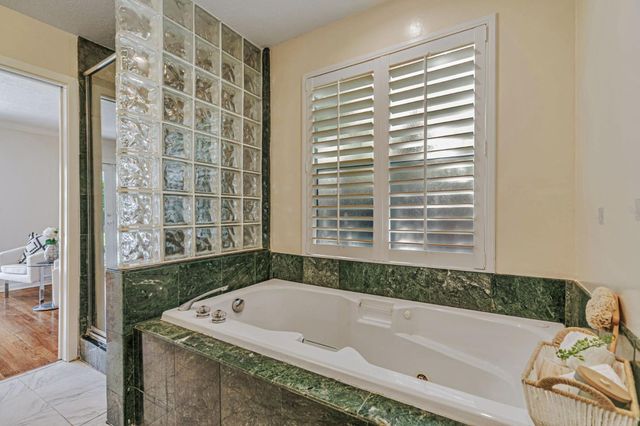 a bathroom with a shower and a toilet