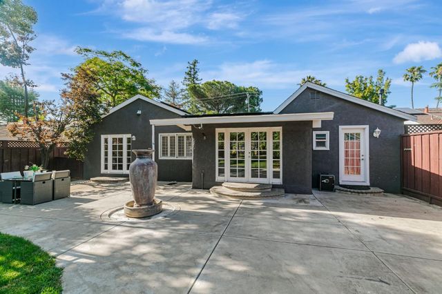a view of a garden with plants and large trees