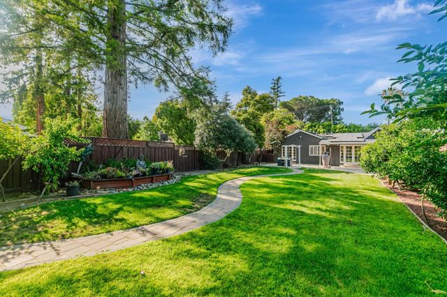 a view of a garden with potted plants