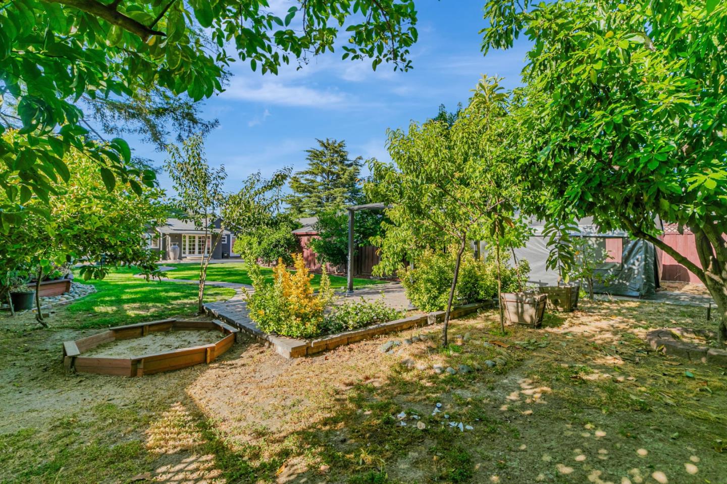 668 Curtner Avenue Campbell, CA 95008 - Photo 46 of 49 a view of a garden with plants and large trees