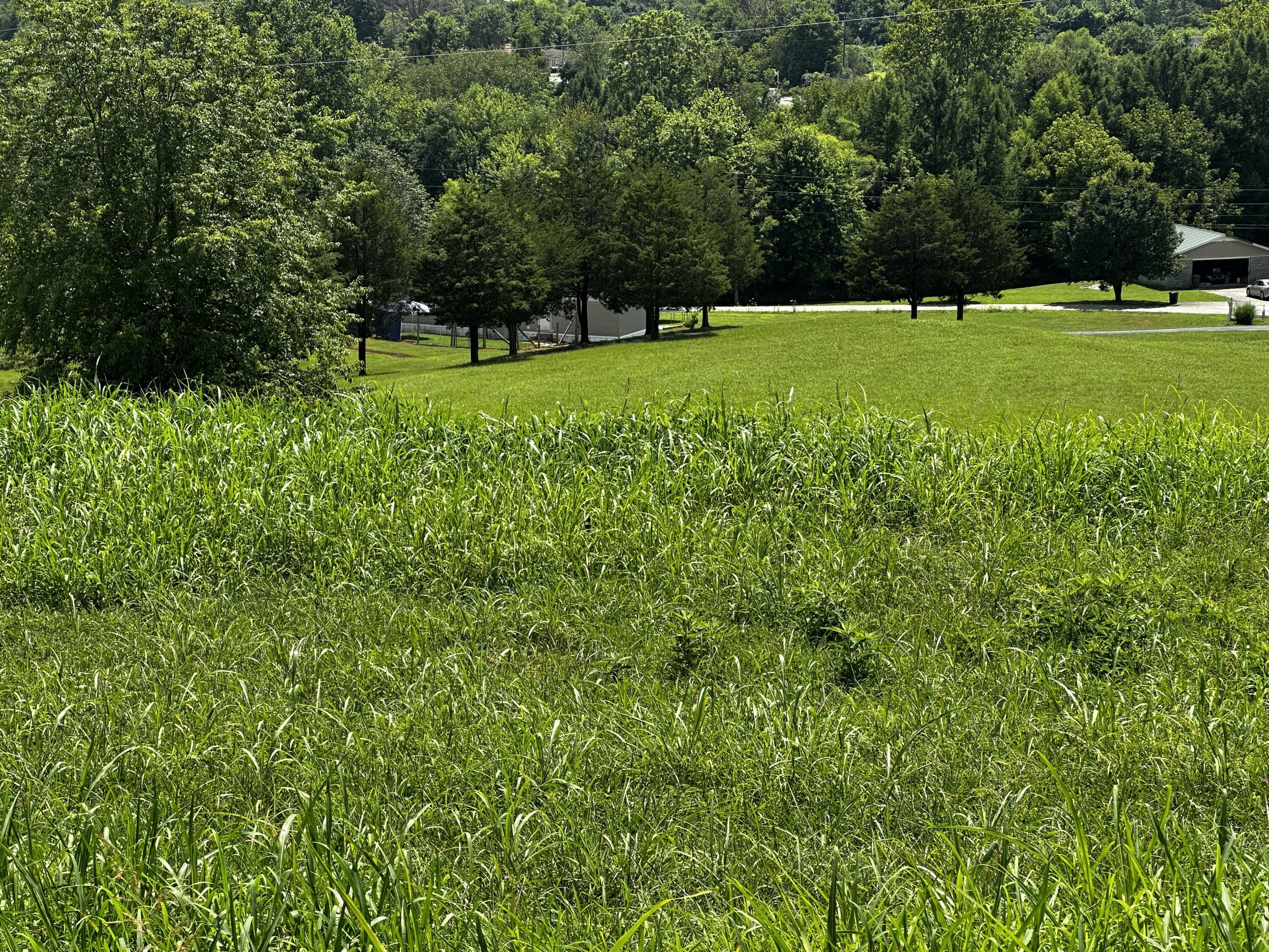 99999 Valentine Branch Road Cannon, KY 40923 - Photo 11 of 18 20250826154551234512000000-o