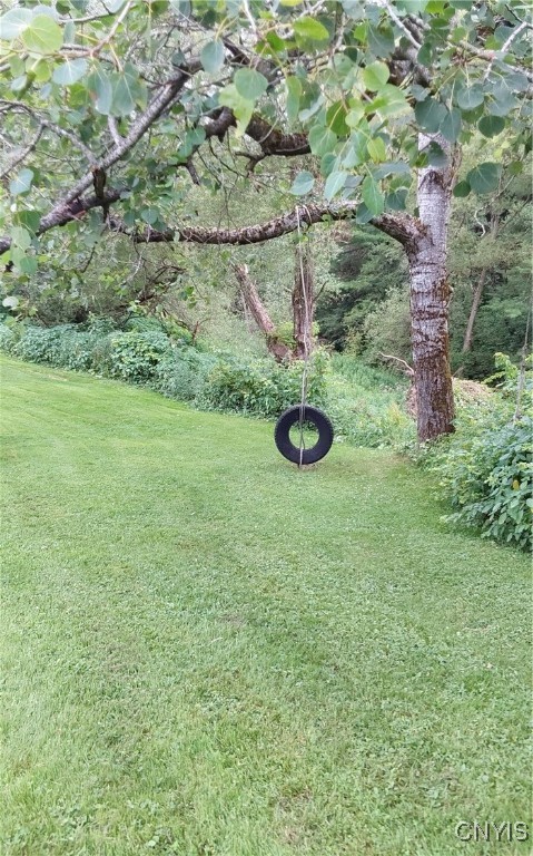 1438 Newport Road Schuyler, NY 13431 - Photo 44 of 48