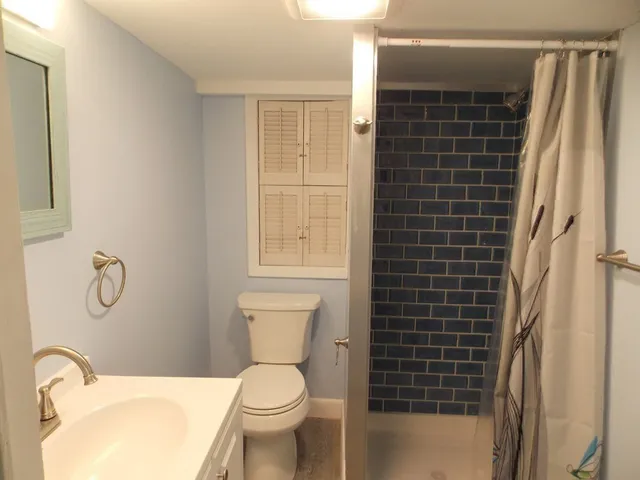 a bathroom with a toilet and a sink