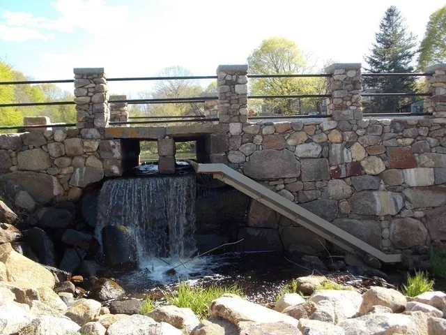 a view of a park with large trees