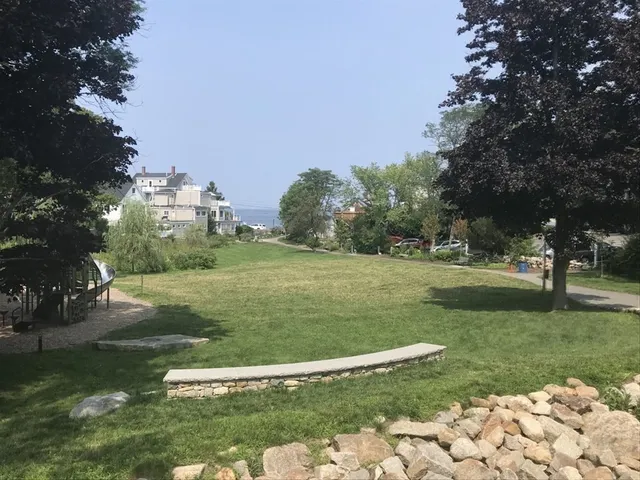 a view of a flower in a yard