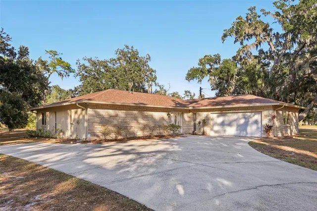 a street view with large trees