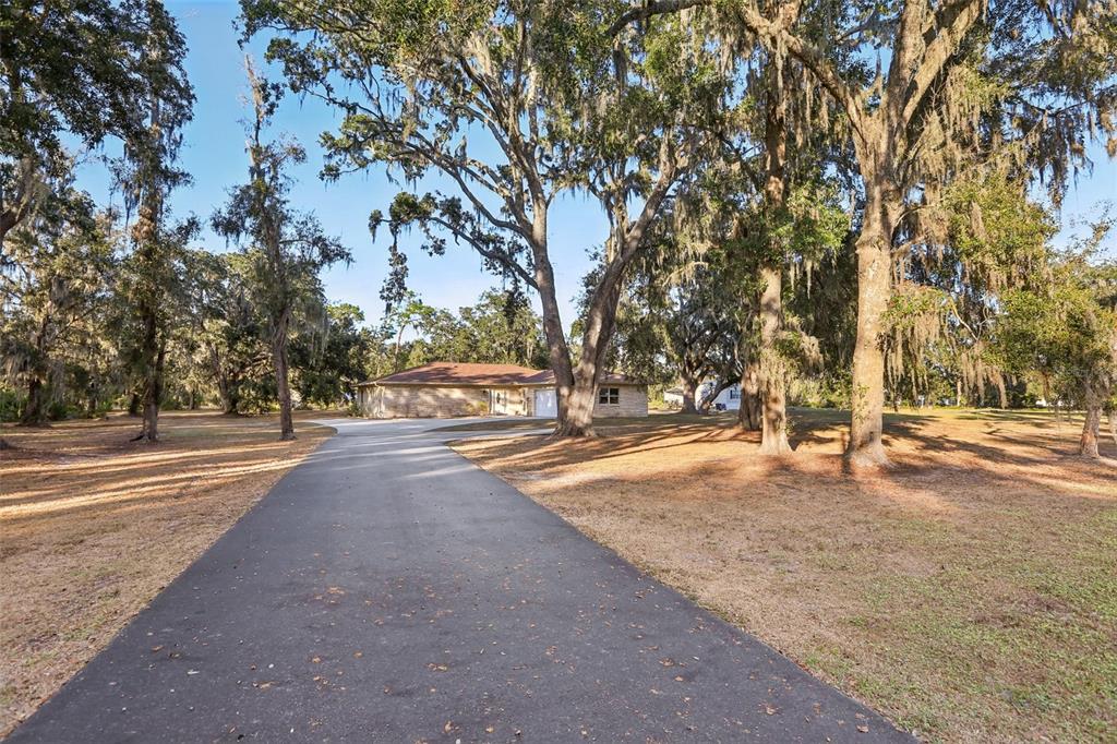 5706 Durant Road Dover, FL 33527 - Photo 4 of 41