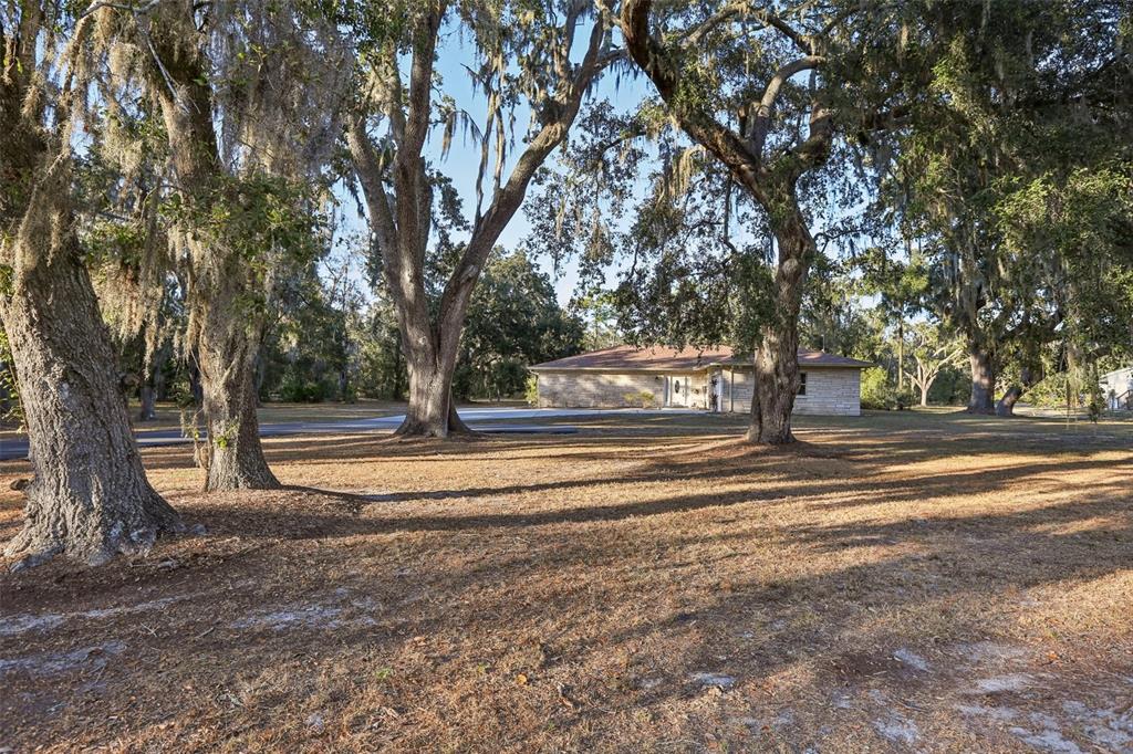 5706 Durant Road Dover, FL 33527 - Photo 5 of 41