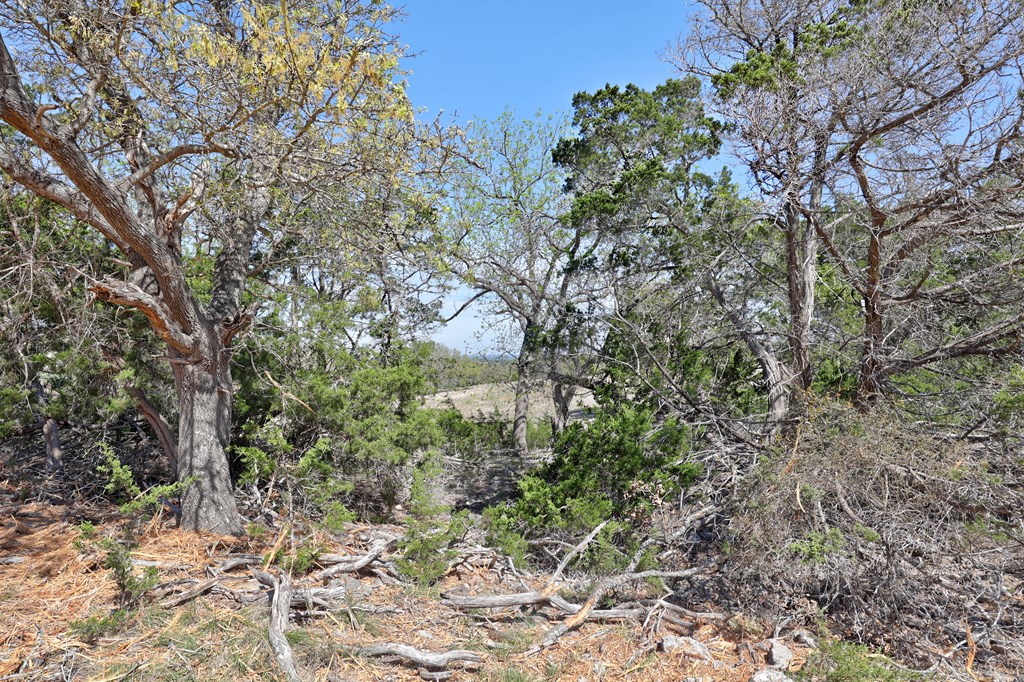 410 B Gabe Road, Unit 15B Kerrville, TX 78028 - Photo 10 of 21 Gallery Image 10