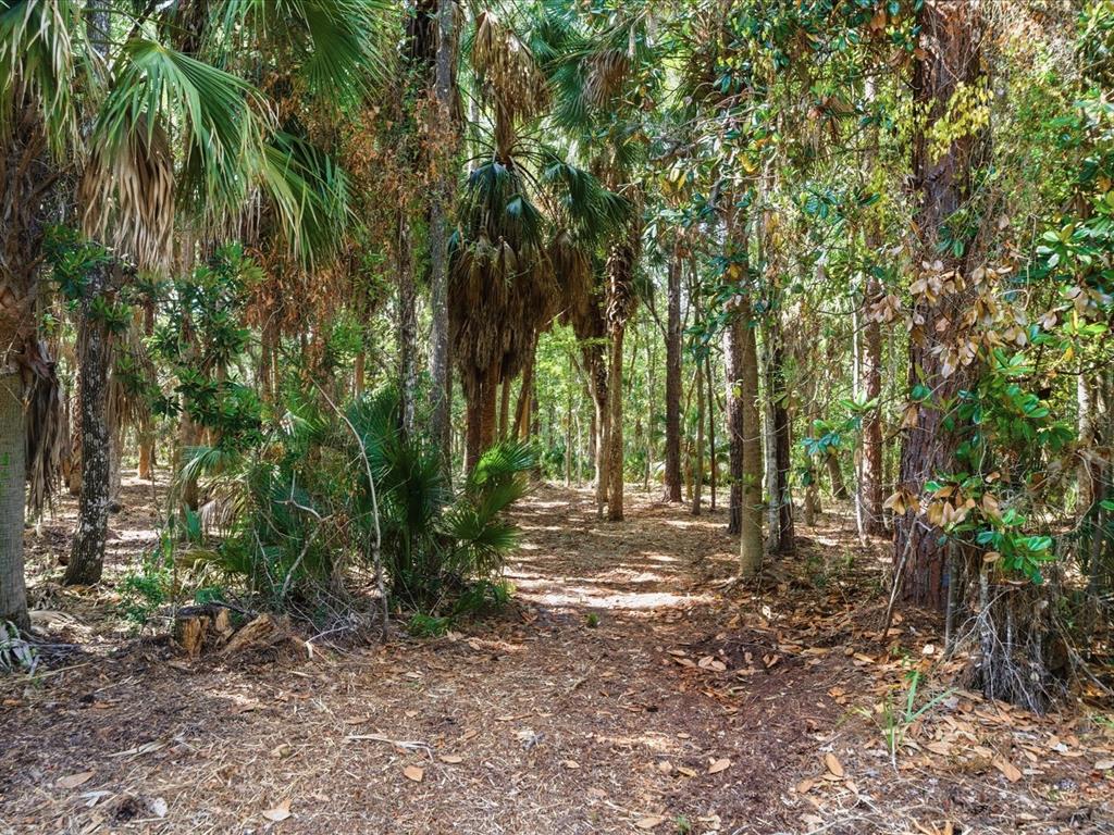 Osowaw Blvd Spring Hill Spring Hill, FL 34607 - Photo 5 of 5