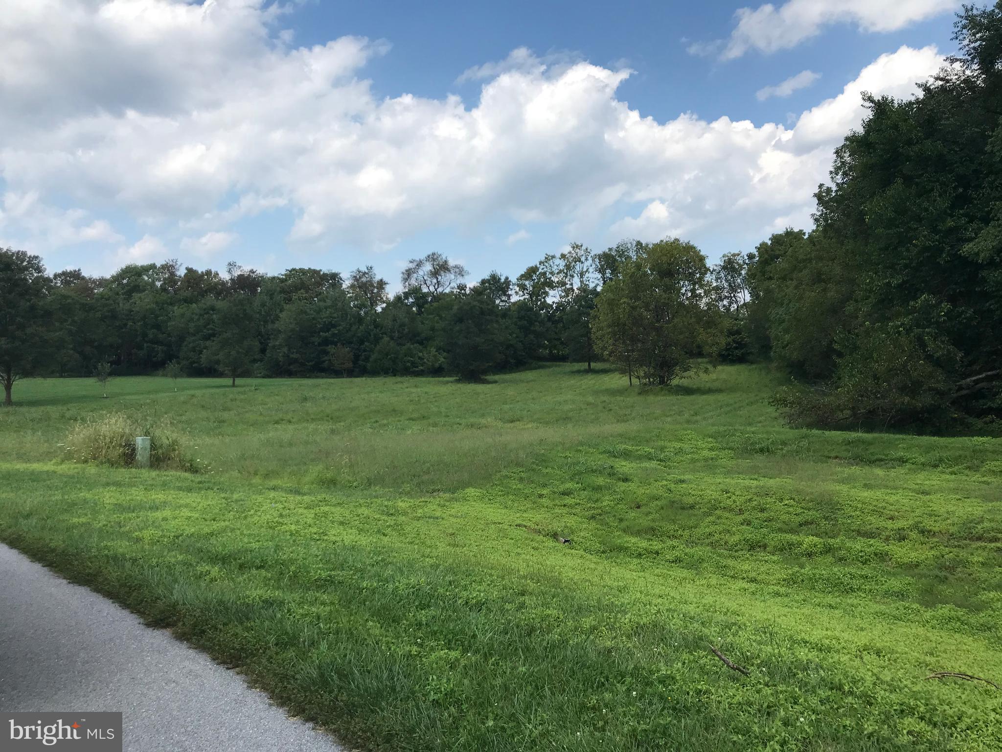 8317 Prophet Acres Road, Unit LOT 11 Fairplay, MD 21733 - Photo 3 of 4