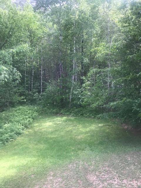 196 Intervale Road Bethel, ME 04217 - Photo 11 of 16 yard