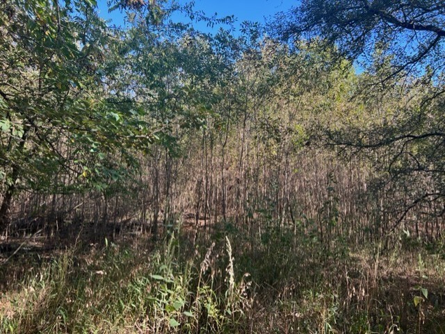 71 East Talco, TX 75487 - Photo 16 of 33