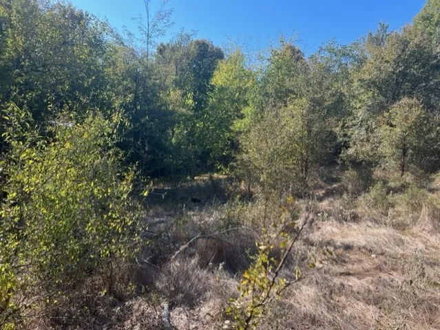 $1,465,110 | 71 East, Talco, TX 75487