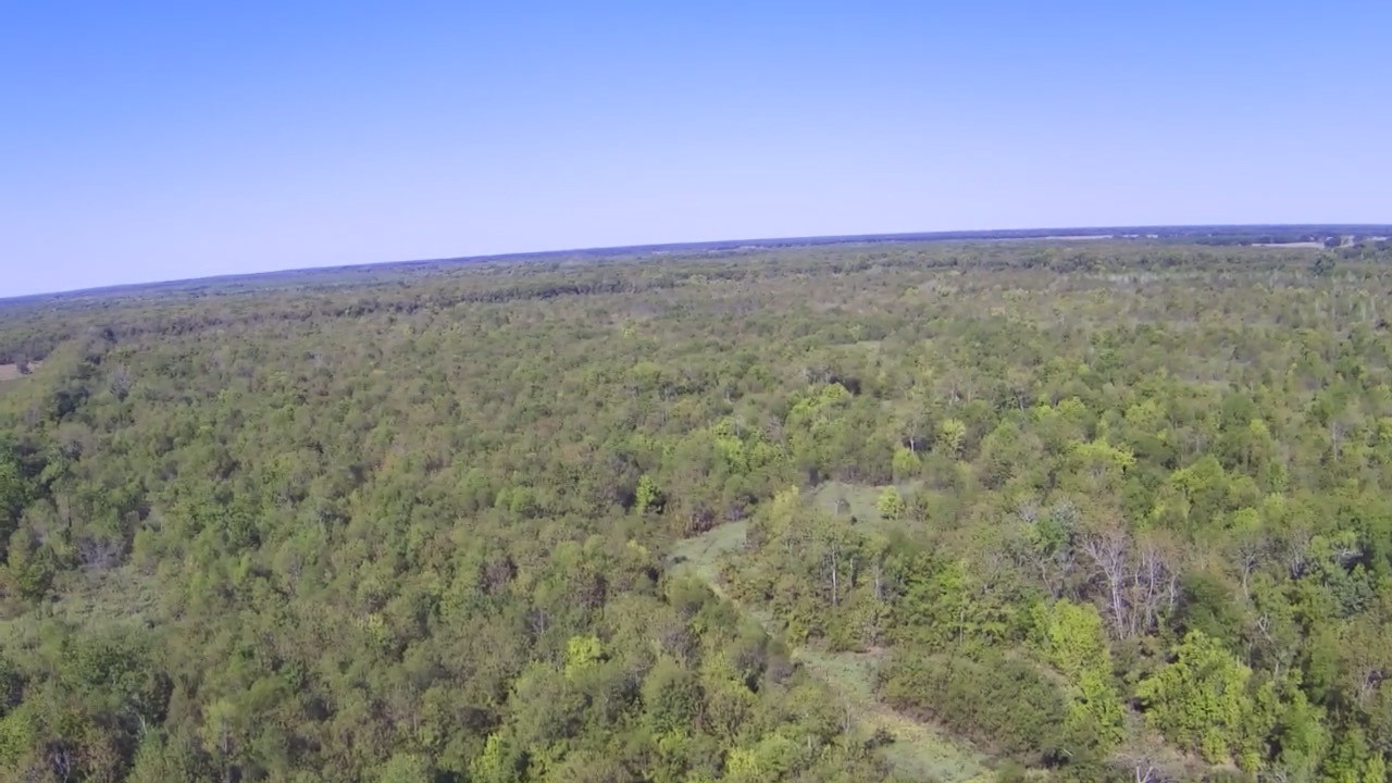 71 East Talco, TX 75487 - Photo 4 of 33