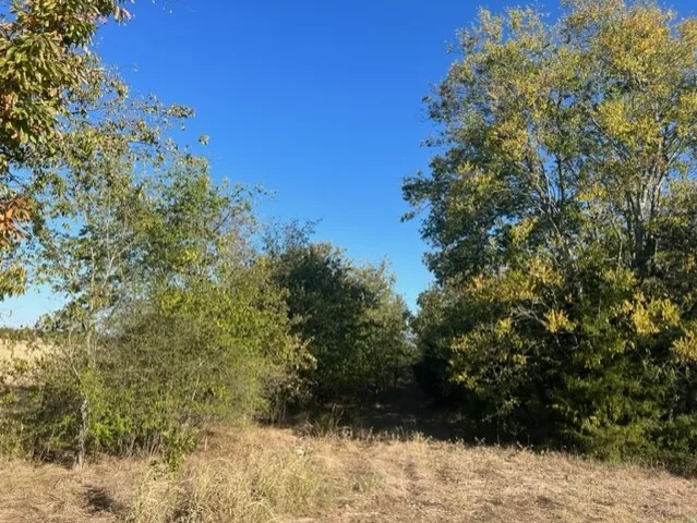 $1,465,110 | 71 East, Talco, TX 75487