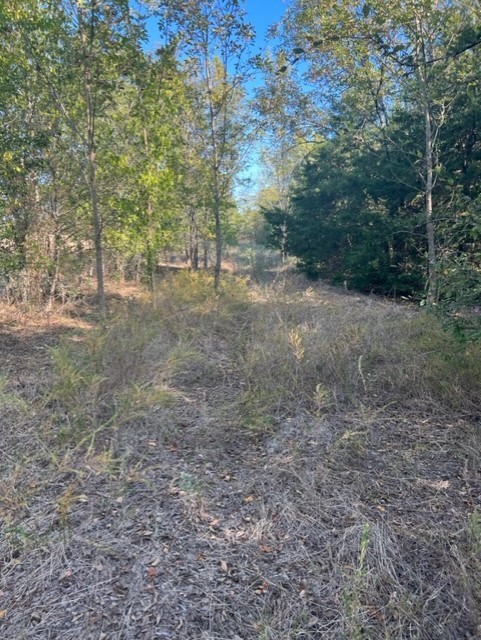 71 East Talco, TX 75487 - Photo 9 of 33
