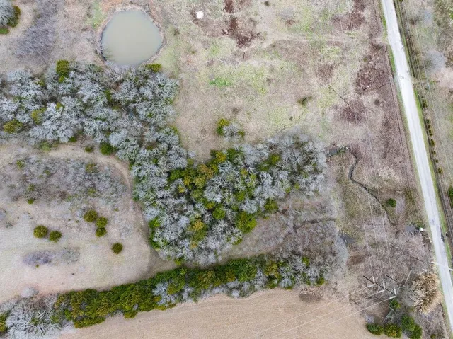 a view of a dry plant in a garden