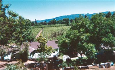 1540 Sanford Ranch Road Ukiah, CA 95482 - Photo 9 of 9 View looking down from backyard