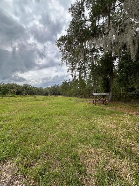 6800 Northeast 175th Street Road Citra, FL 32113 - Photo 19 of 27 a backyard of a house with lots of green space