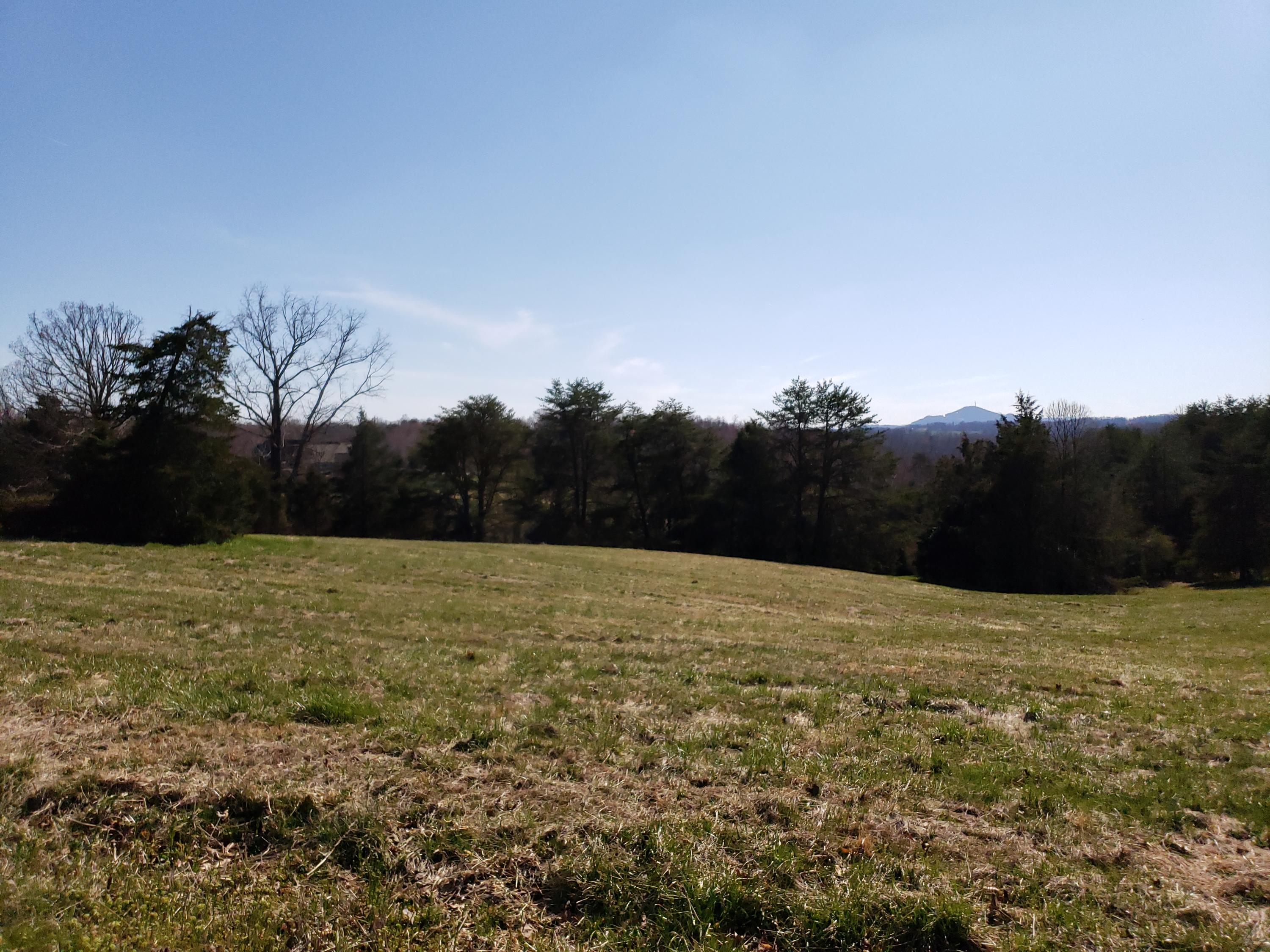Lot 28 Nyle Ridge Road Wirtz, VA 24184 - Photo 17 of 23 20190319_154129