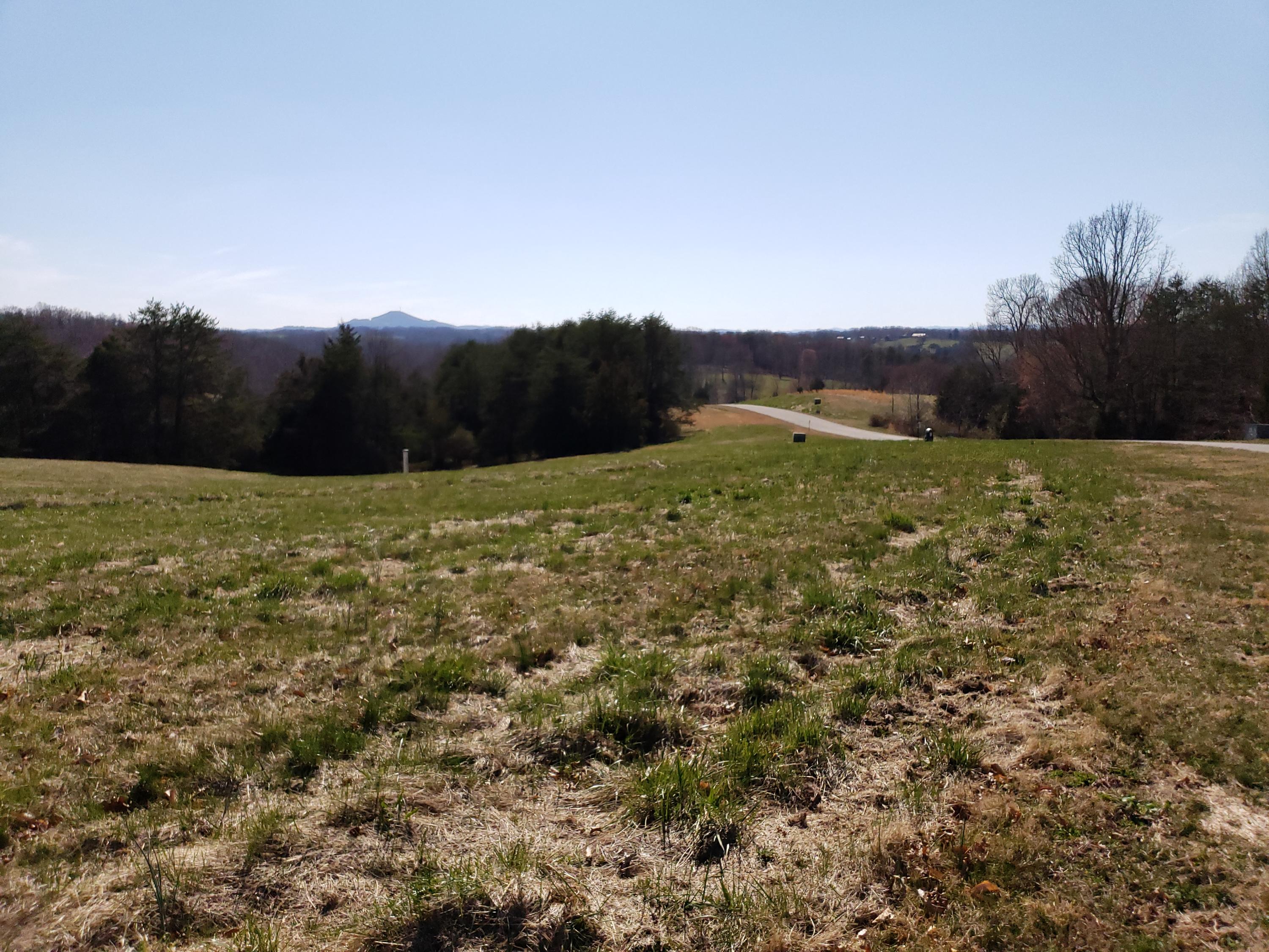 Lot 28 Nyle Ridge Road Wirtz, VA 24184 - Photo 22 of 23 20190319_154159