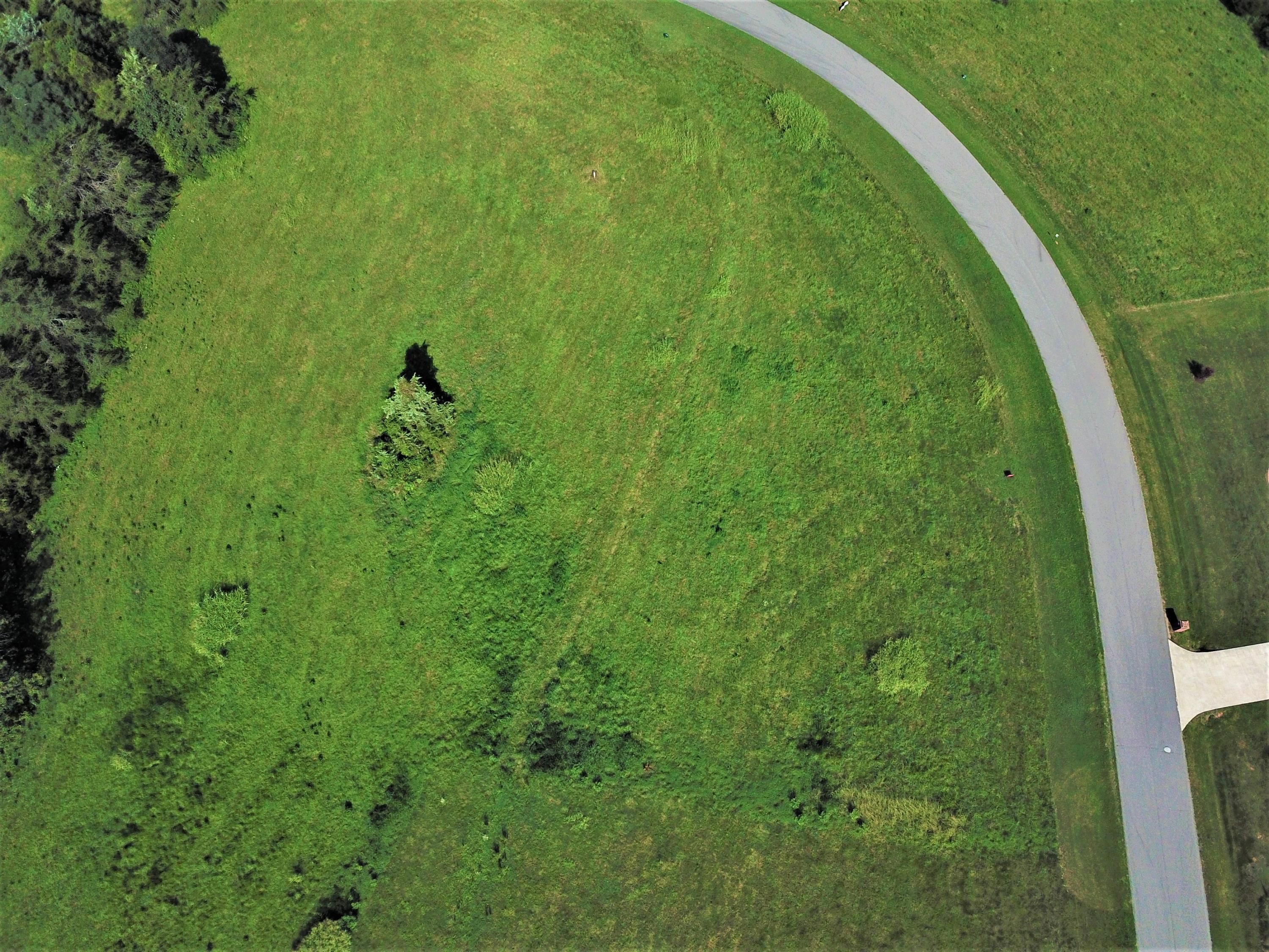 Lot 28 Nyle Ridge Road Wirtz, VA 24184 - Photo 10 of 23 DJI_0069