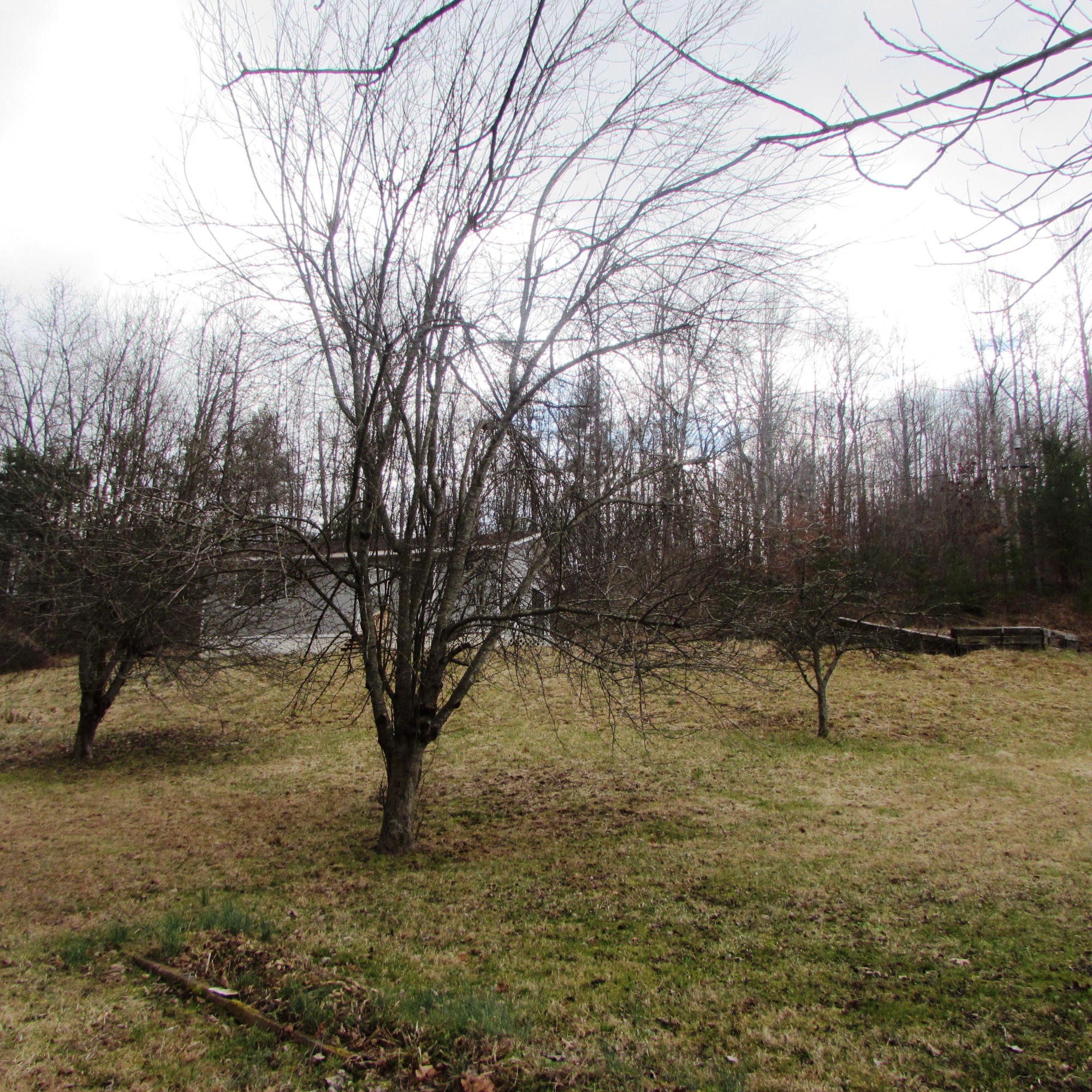 166 Ralph Hughett Lane Oneida, TN 37841 - Photo 5 of 31