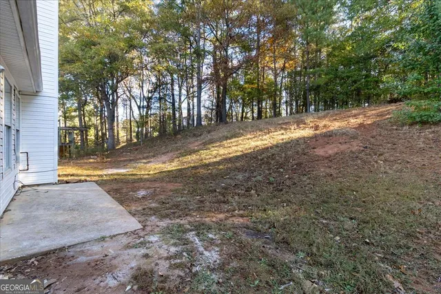 a view of yard with tree