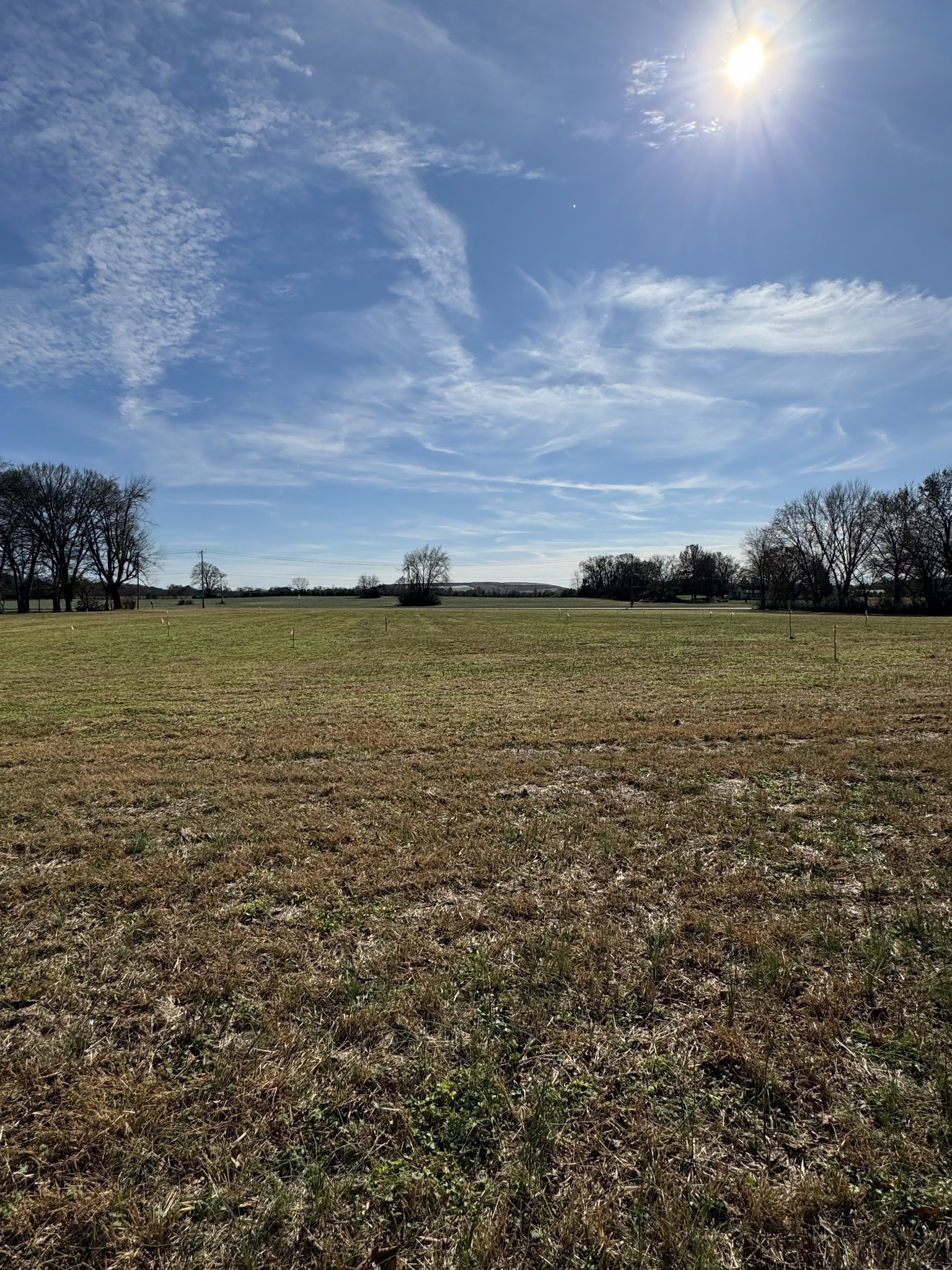 313 Holly Grove Road Lascassas, TN 37085 - Photo 15 of 16 Gallery Image 15