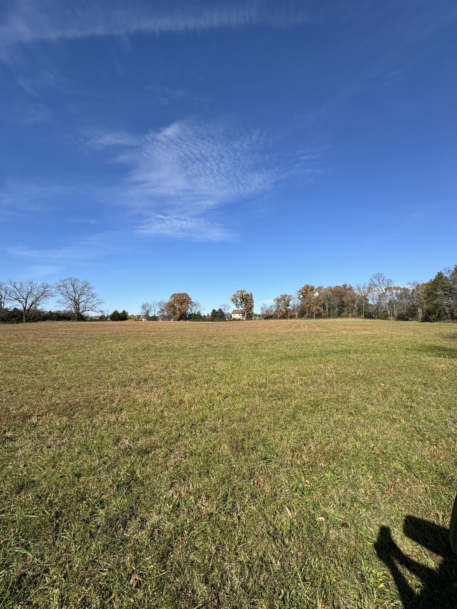 313 Holly Grove Road Lascassas, TN 37085 - Photo 8 of 16 Gallery Image 8