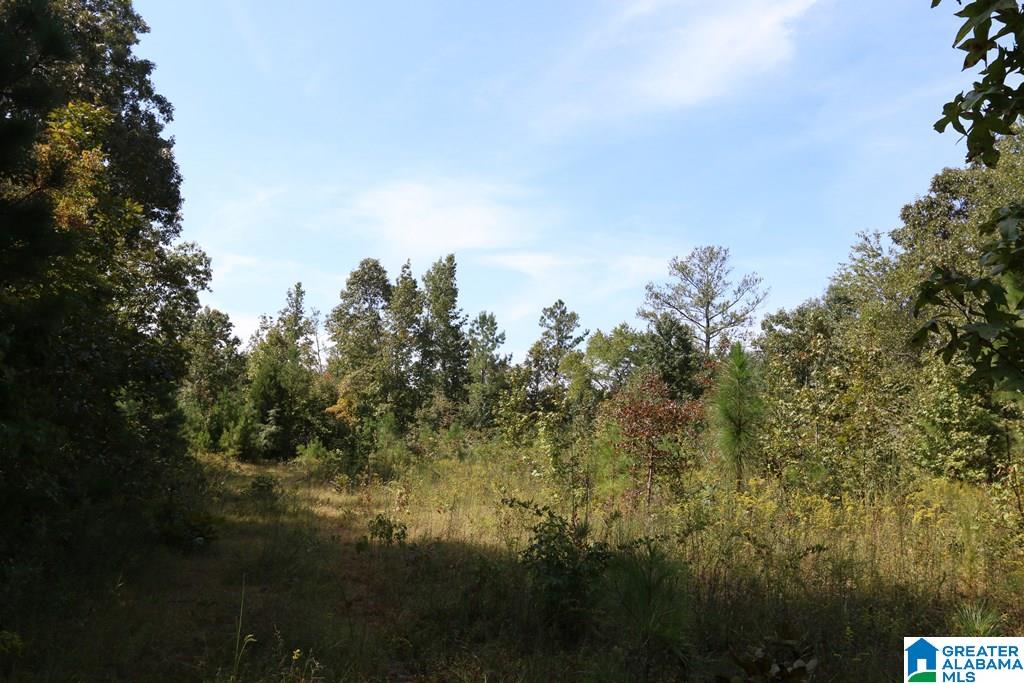 Sprayberry Road, Unit 103 Cropwell, AL 35054 - Photo 37 of 48