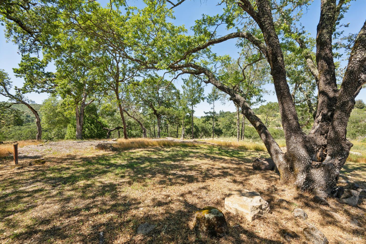 4665 Upper Ridge Road Santa Rosa, CA 95404 - Photo 48 of 71 a view of a trees with a yard