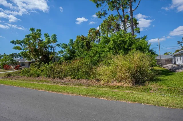 a view of a yard with plants and large trees