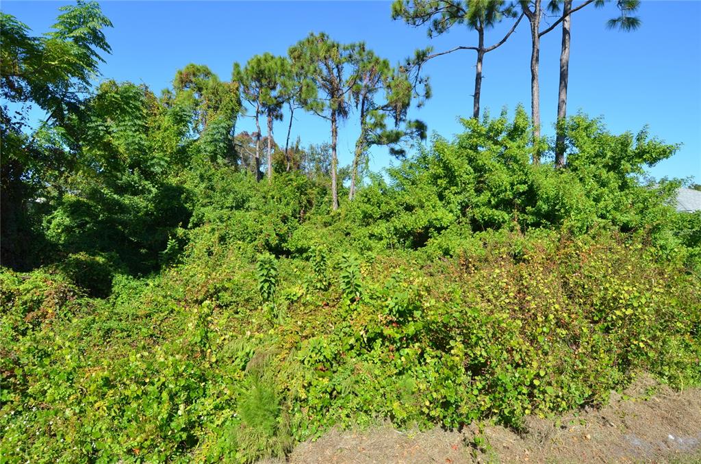 0 Cabana Road Venice, FL 34293 - Photo 15 of 29