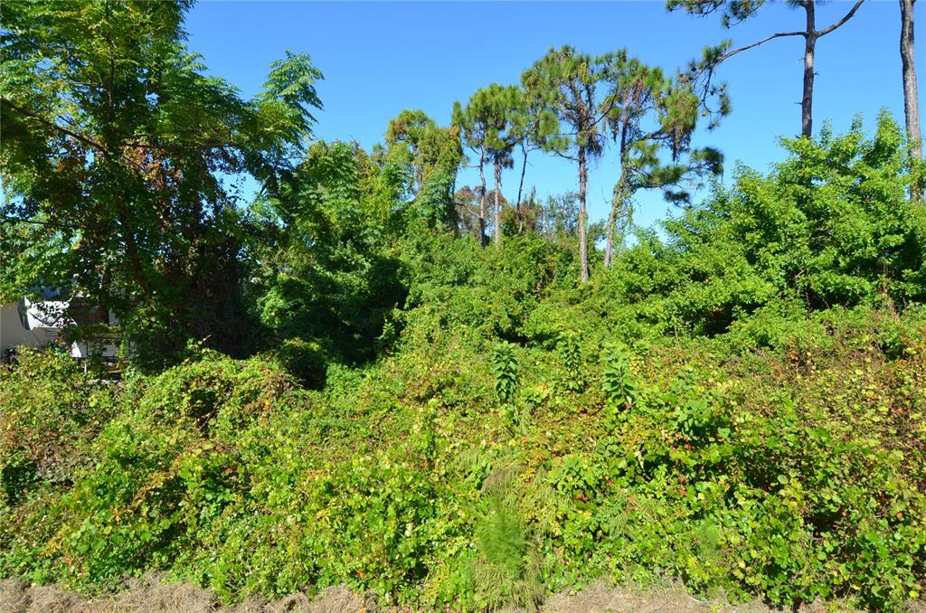 0 Cabana Road Venice, FL 34293 - Photo 16 of 29