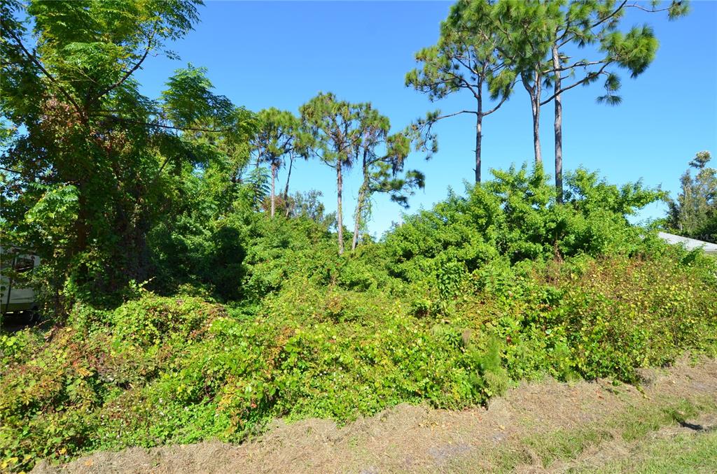 0 Cabana Road Venice, FL 34293 - Photo 18 of 29