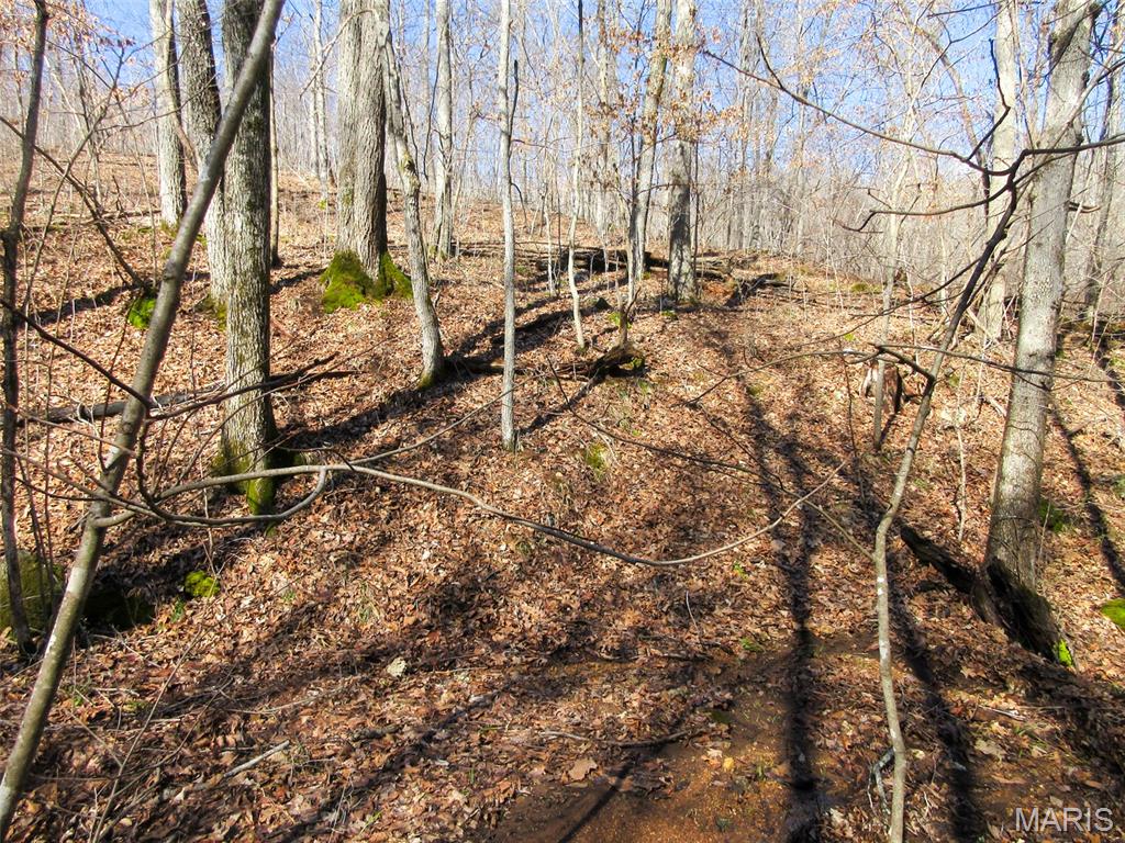 10331 Hopkins Road Potosi, MO 63664 - Photo 29 of 76
