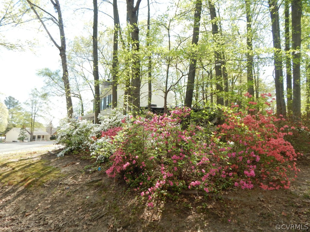 10801 Drayton Road Chester, VA 23831 - Photo 14 of 17