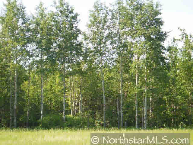 Xxx Cass Line Road Laporte, MN 56484 - Photo 3 of 4 Gallery Image 3