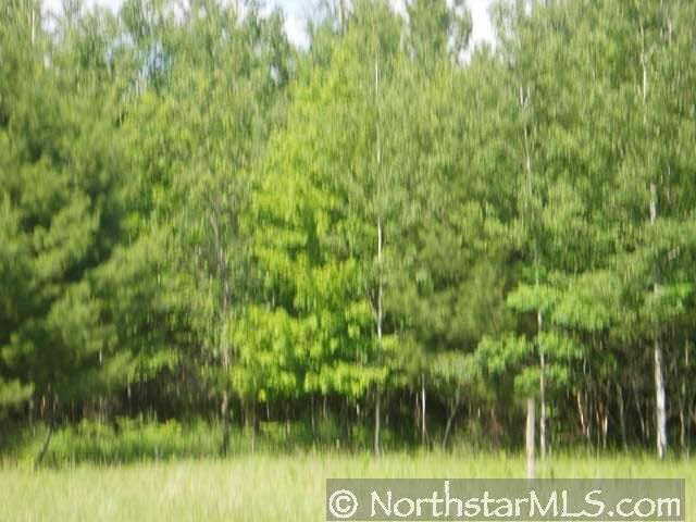 Xxx Cass Line Road Laporte, MN 56484 - Photo 4 of 4 Gallery Image 4