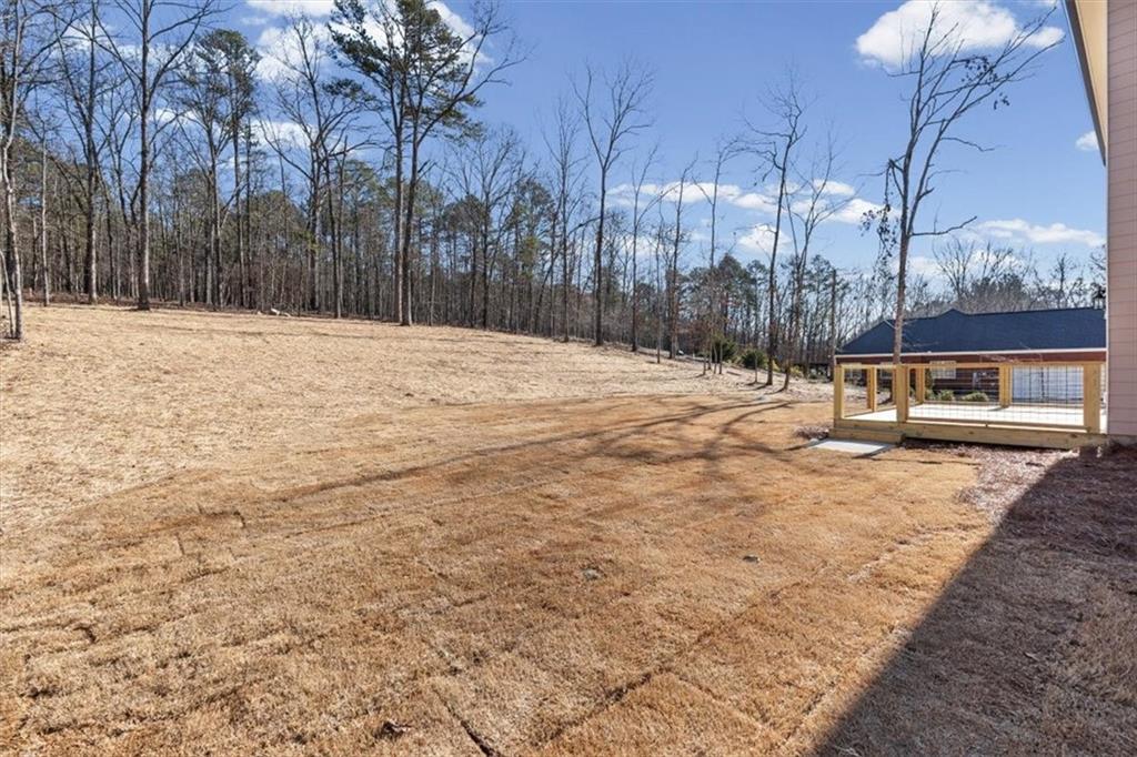 14 Everwood Court Rome, GA 30161 - Photo 45 of 54 a backyard of a house with large trees