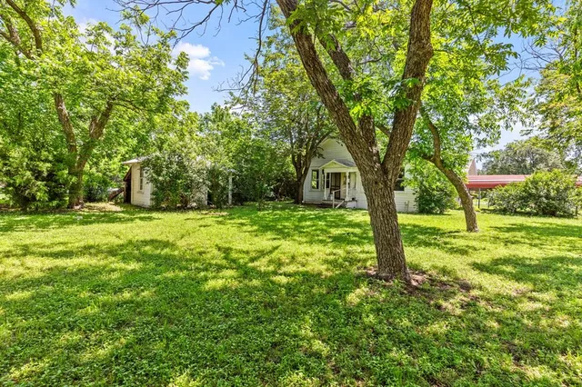 a view of green field with tree in the background