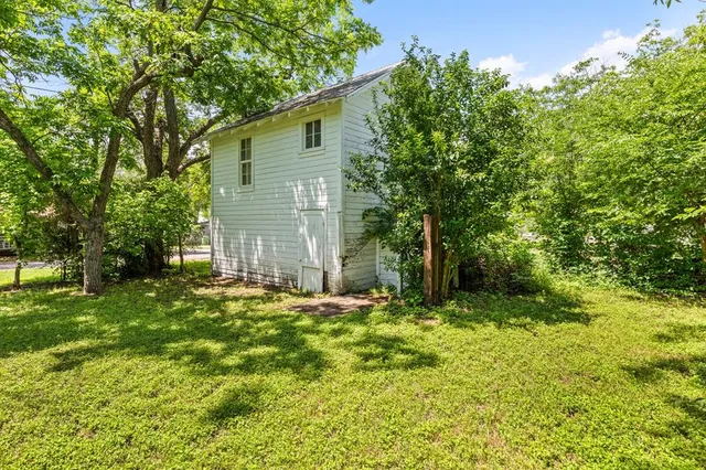 a tall tree in middle of the garden