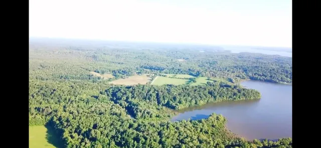 a view of a yard with plants and a bench