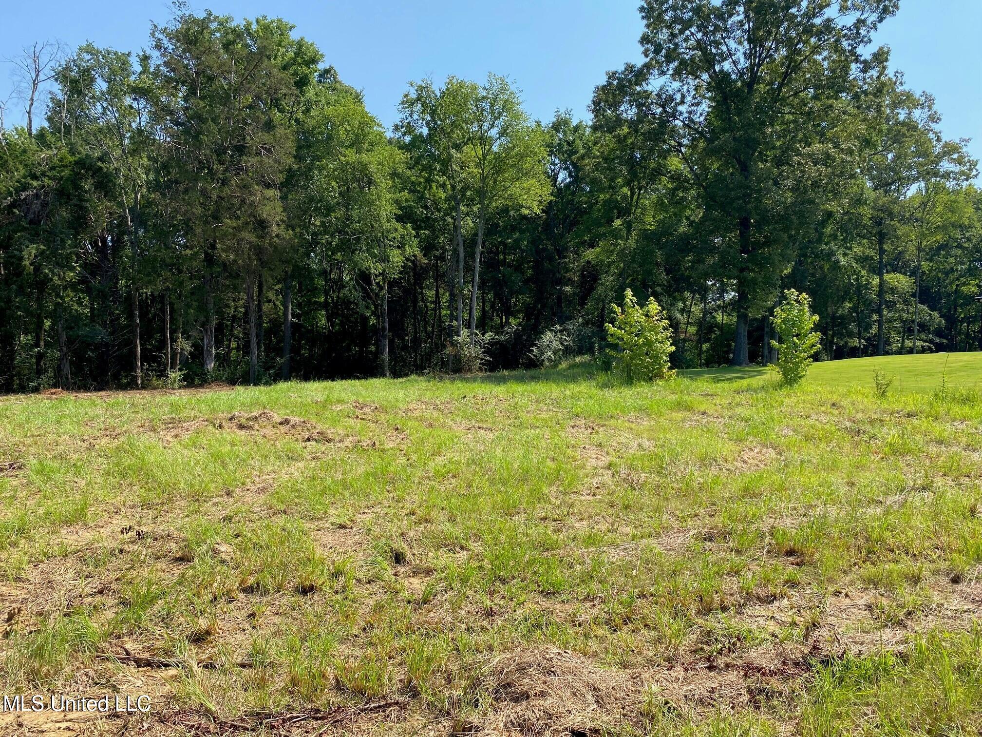 2.44+/- Acre Property