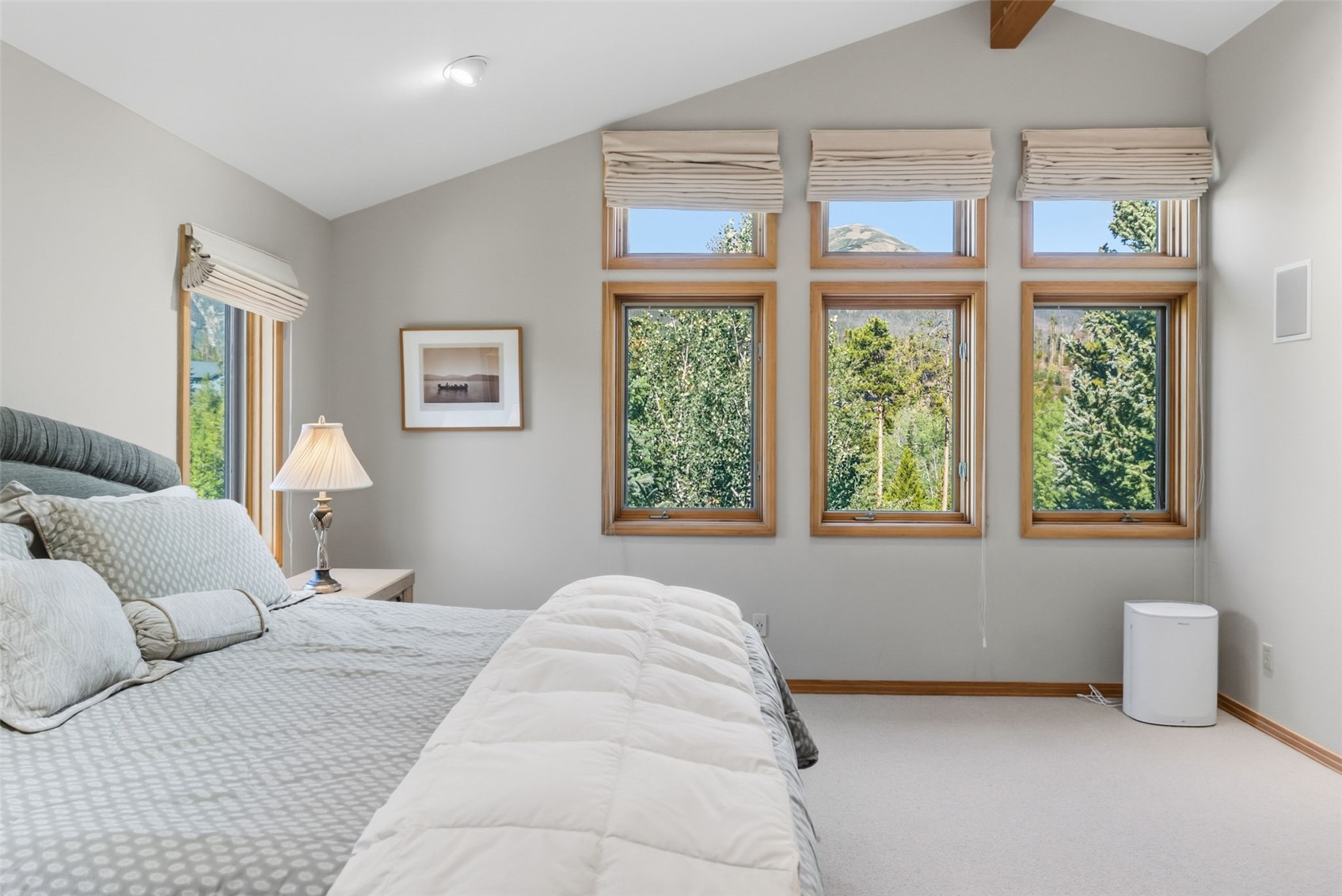 1165 Emerald Road Silverthorne, CO 80498 - Photo 35 of 43